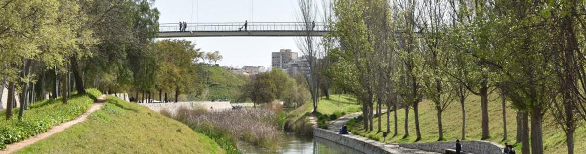 Parque muy verde con rio, árboles y un puente